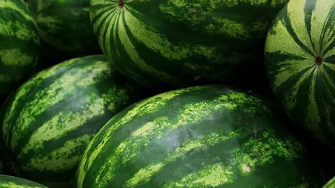 watermelons-5318938_1280 (1)