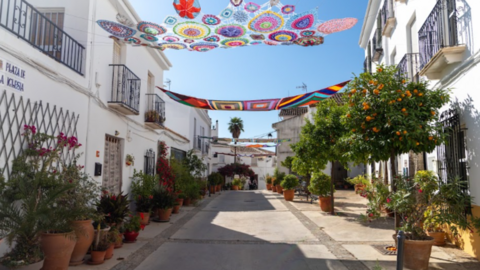 esparra (1)