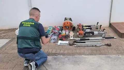 ROBOS EXPL- AGR. BUJALANCE (1)