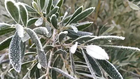 2022012113293082394