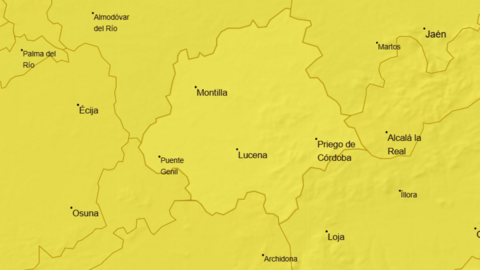 Amarillito (1)