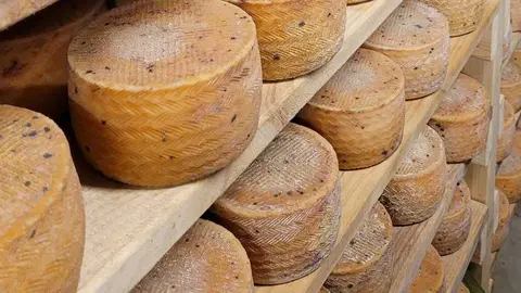 5 Maestro Quesero 4.0 IFAPA (1)