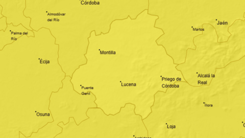 avisito (1)