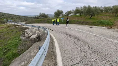 FOM_BAENA PRIEGO_17 (1)