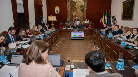 FOTO_Pleno ordinario febrero _16 (1)