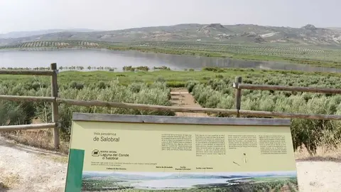 240926_Laguna C&oacute;rdoba 3.jpg (1)