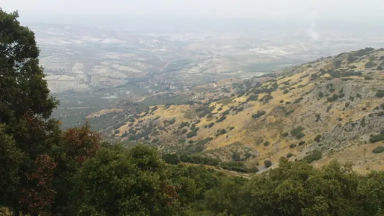 DSC02491_opt