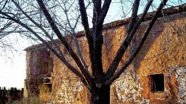 cortijo 3