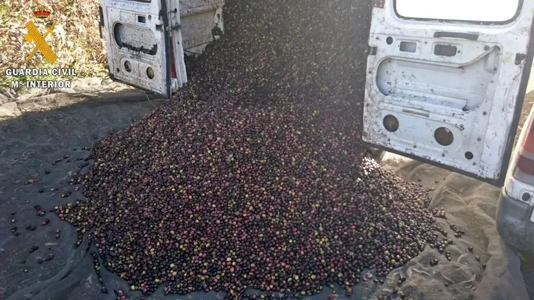 furgonetas-con-aceitunas-sustraidas-1