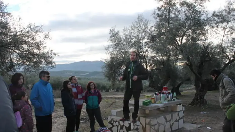 actividad en el campo_opt