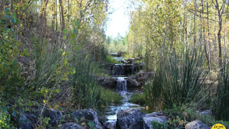 jardin