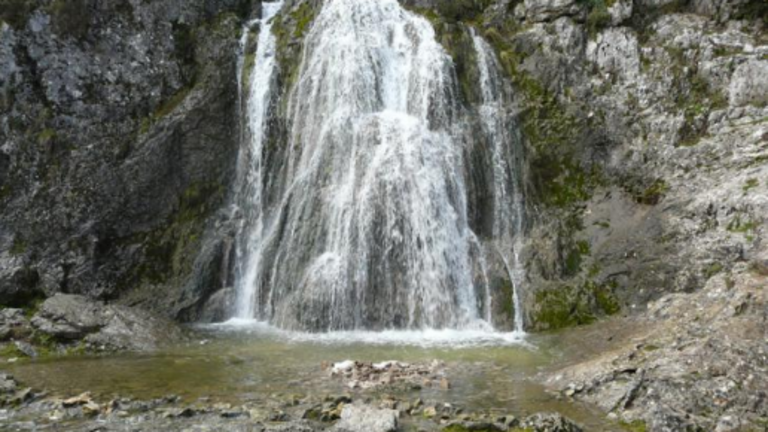 fuente-tojar