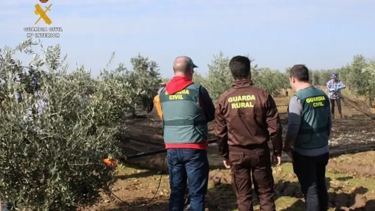 ROBOS EXPLOTACIONES AGR&Iacute;COLAS Y GANADERAS_opt