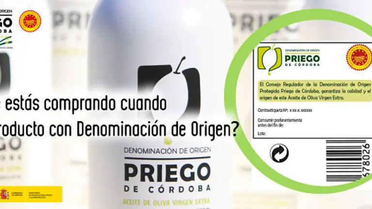 Publicidad-1_opt