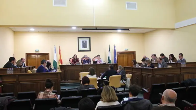 Pleno de Lucena de anoche_opt