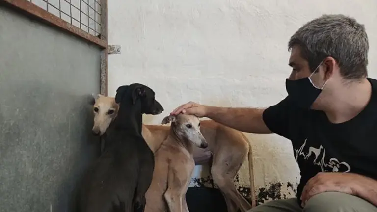 Foto galgos aterrorizados_opt