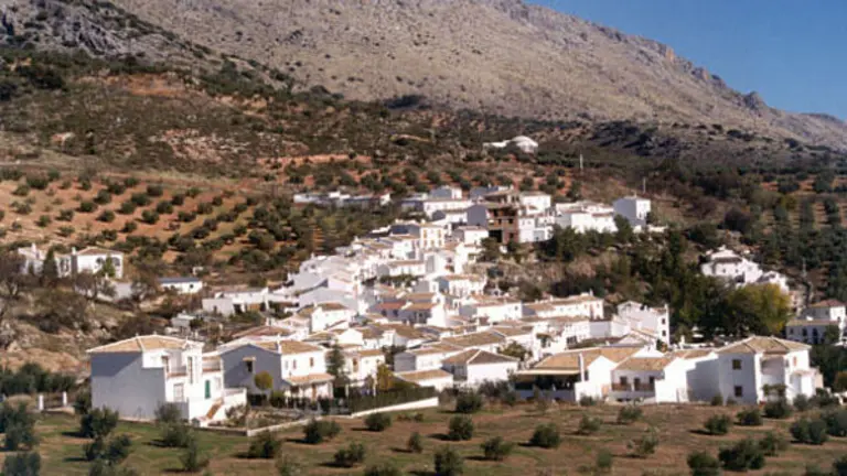 ca&ntilde;uel_opt