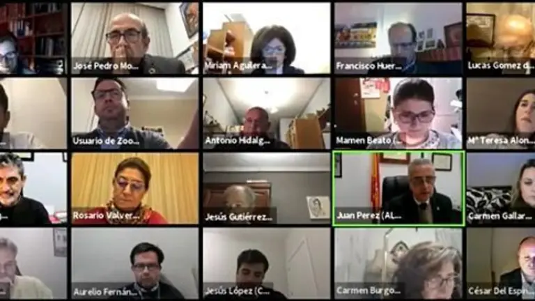 201230 Pleno virtual_opt