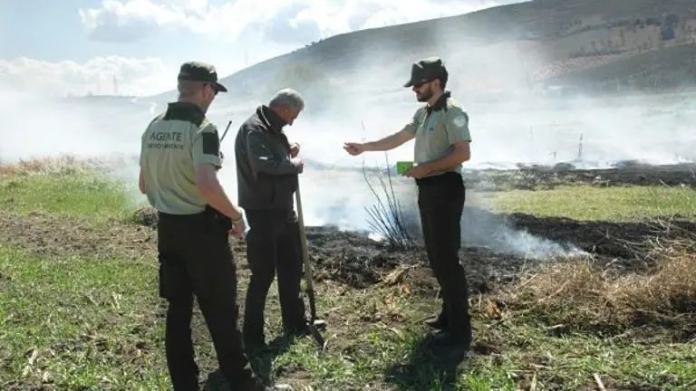 Foto_DS_Fuego_6_opt
