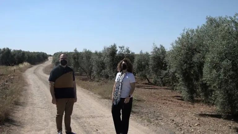 camino navazos benamej&iacute; (2)_opt