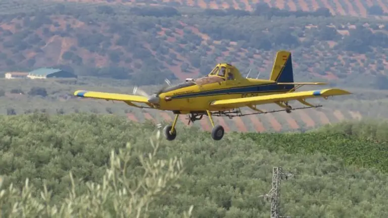 DO BAENA AVION MOSCA OLIVO 1_opt