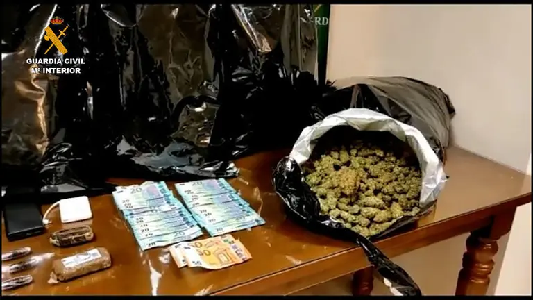 op_marihuana_carlota_cordoba_editada_opt
