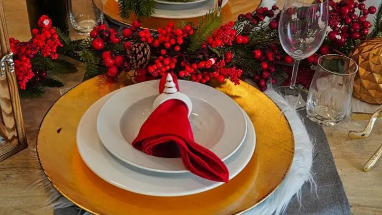 christmas-dinner-g93f93ec21_1920_opt