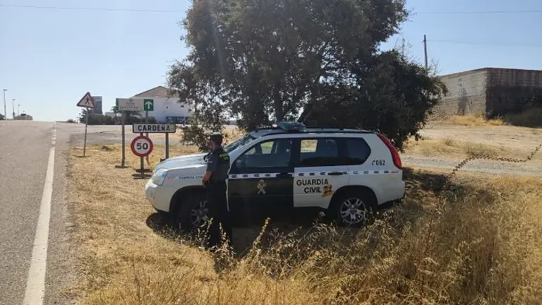 carde&ntilde;a_opt