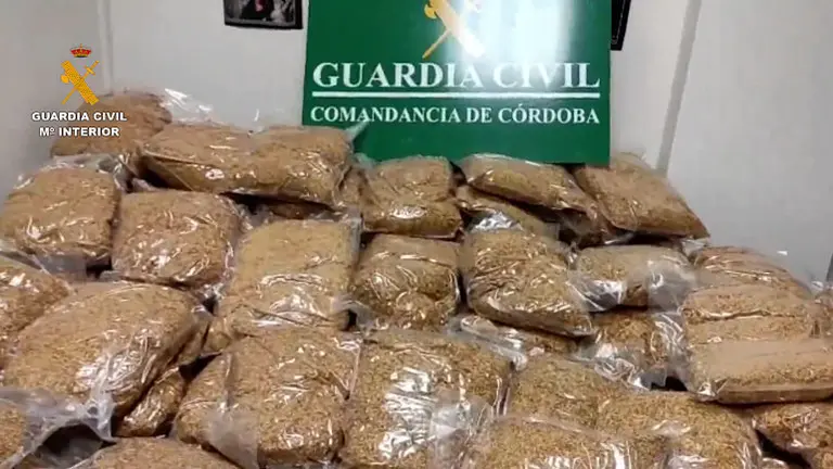 picadura_tabaco_cordoba_editada 2_opt