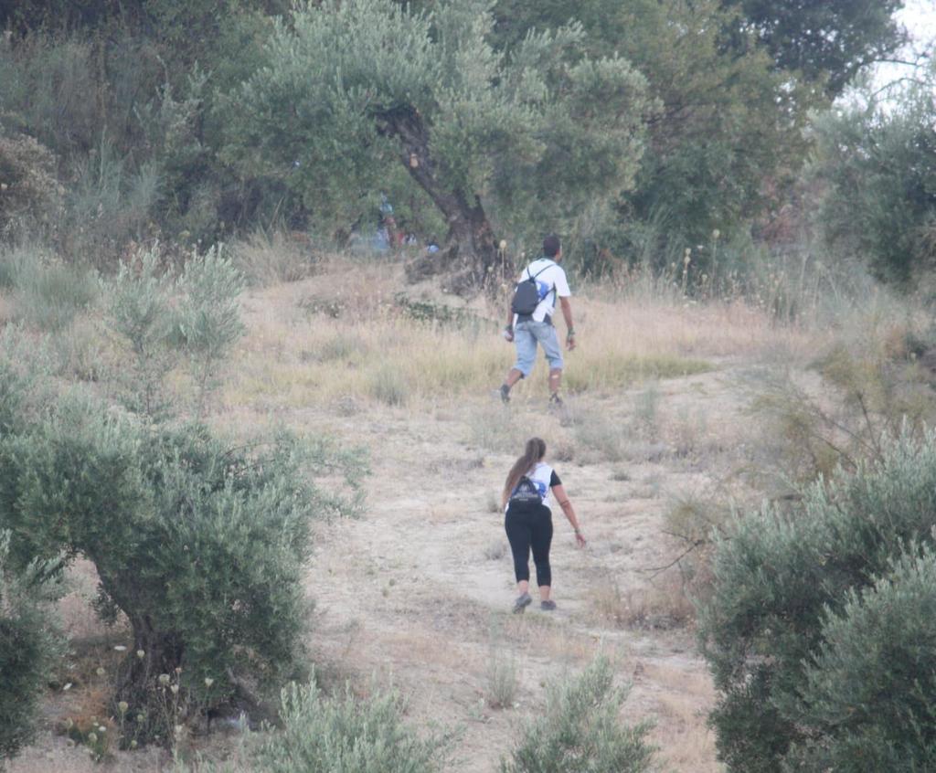 07.1._orientacion_nocturna_2018